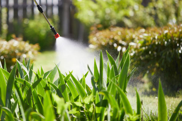 Tamper-Resistant Bait Stations for Rodents in Anza
