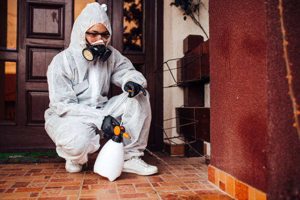 Attic and Crawl Space Rodent Treatment in Anza